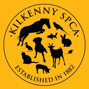 Kilkenny SPCA